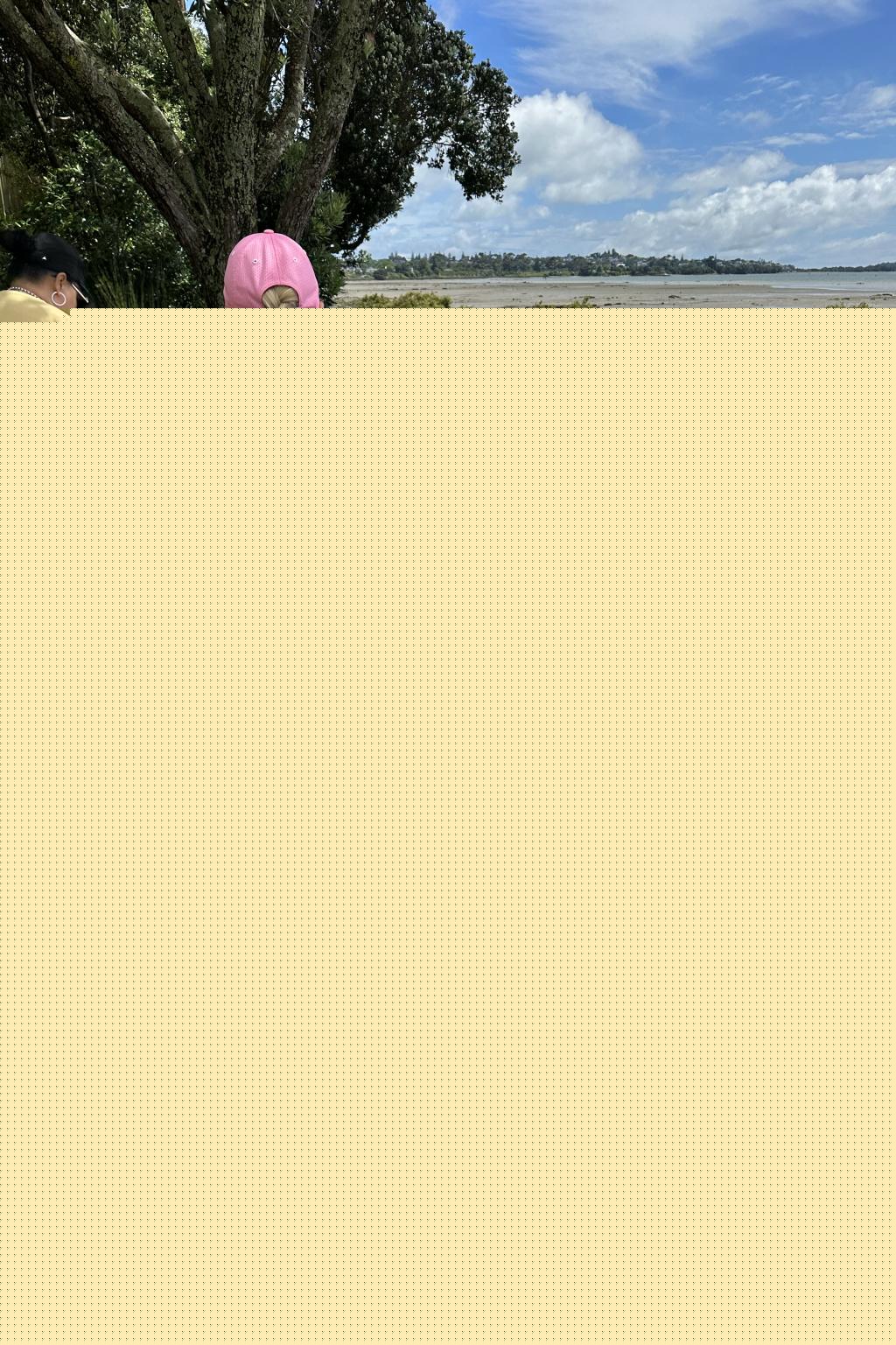 IMG 0417